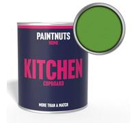 Paintnuts Kitchen Cupboard Paint - RAL-6018 - YELLOW GREEN Satin 250ml Tin