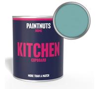 Paintnuts Kitchen Cupboard Paint - RAL-6034 - PASTEL TURQUOISE Gloss 500ml Tin