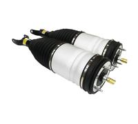 Pair Compatible For Dodge RAM 1500 2013-2019 OEM Air Suspension Shock Absorber Front Air Struts 04877147AH, 04877147AG, 04877147AF,