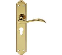 PAIR Curved Handle on Long Euro Lock Backplate 245 x 45mm Stainless Brass Loops Metallics One Size
