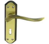 PAIR Curved Handle on Sculpted Lock Backplate 180 x 48mm Florentine Bronze