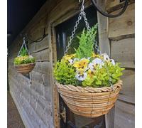 Pair Of Best Artificial 10 Inch Yellow & White Pansy Spring Hanging Basket With Greenery And Conifer Centre