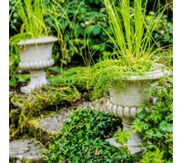 Pair Of Classic Stone Cast Garden Urns