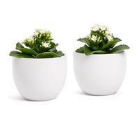 Pair of Elegant Terracotta Bowl Pots | Opaque White | Indoor or Outdoor | D.12.5 cm - H.10 cm | Modern Decorative Vase for Plants, Flowers and Succulents