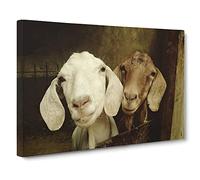 Pair of Goats Canvas Print | Gallery Wrapped 30mm Frame Wall Art | 24x16 inches | Ready to Hang | Modern Animal Picture | Living Room Bedroom Lounge Office
