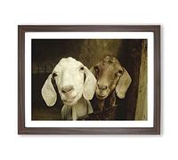 Pair of Goats Modern Framed Print | A2 Walnut Framed Wall Art | Ready to Hang | Modern Animal Picture | Living Room Bedroom Lounge Office