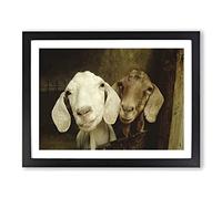 Pair of Goats Modern Framed Print | A4 Black Framed Wall Art | Ready to Hang | Modern Animal Picture | Living Room Bedroom Lounge Office