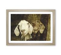 Pair of Goats Painting Framed Print | A2 Oak Framed Wall Art | Ready to Hang | Modern Animal Picture | Living Room Bedroom Lounge Office
