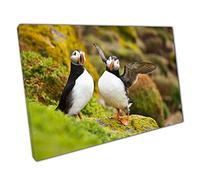 Pair Of Happy Puffin Birds Sitting On A Mossy Cliff Edge Together Great Saltee Island Wall Art Print On Canvas Picture For Home Office Decor 61x41cm (24x16In)