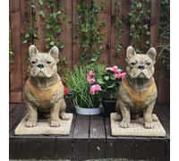 Pair Of Life Size French Bulldog Statues