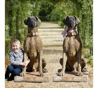 Pair Of Life-Size Great Dane Statue