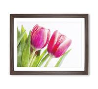 Pair Of Pink Tulip Flowers Painting Modern Art Framed Print | A3 Walnut Framed Wall Art | Ready to Hang | Modern Floral Picture | Living Room Bedroom Lounge Office