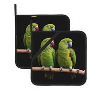 Pair of Rainforest Parrots Washable Pot Holder Set, Heat Resistant Pot Holder Accessories 2-Piece Set, Cooking Oven Grill Mat, 8 * 8 Inch