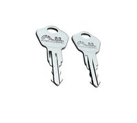 Pair of Replacement Keys for Sentry Safe Lock Boxes, Fire Chests, Fire Files, & Fire/Water Files - Cut to Code 3W2