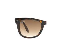 Pair of replacement lenses Ray - Ban RB4105 Folding Wayfarer Man Replacement lenses Plastic Green Squared Normal