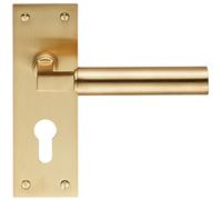 PAIR Round Bar Handle on Slim Euro Lock Backplate 150 x 50mm Satin Brass Loops Metallics One Size