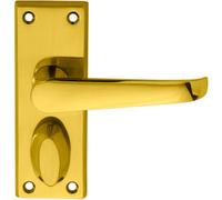 PAIR Straight Handle on Short Privacy Backplate 118 x 42mm Polished Brass Loops Metallics One Size