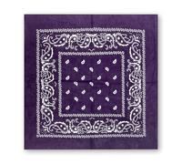 Paisley Dark Purple Bandana - Classic Pattern, Breathable, Soft Cotton, Stylish Headwrap, Scarf, Durag, Neck Gaiter, Headband, Versatile Fashion Accessory for Men & Women, Outdoor, Festivals - 2207