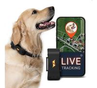 PAJ GPS Dog Tracker 4G - 3-Month Premium Subscription Included - Black