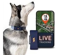 PAJ GPS Dog Tracker 4G - 3-Month Premium Subscription Included - Blue