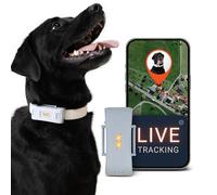 PAJ GPS Dog Tracker 4G - 3-Month Premium Subscription Included - Grey