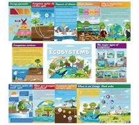 Pajean 13 Pcs Ecosystems Bulletin Board Posters Science Teaching Poster Classroom Decorations for Middle High School Biological Food Web Chain Bulletin Board for Door Wall Decor Educational Supplies