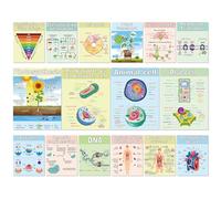 Pajean 16 Pcs Science Biology Posters Cells DNA Photosynthesis Life Science Posters Biology Bulletin Board Charts Classroom Decoration for Primary Middle School High School Office Home Supplies