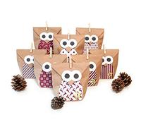 pajoma Advent Calendar for Filling Owl Red | 24 Kraft Paper Bags with Stickers & Clips - DIY Christmas Calendar Craft Set - Gift Bags Christmas to Fill Yourself