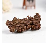 PAJPXPCD 1-2oz Dinosaur Feces (Will Fade Slightly) PAJPXPCD