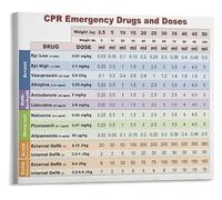PAJPXPCD Animal Care Quick Guide Poster Key Notes for Veterinary Context and Awareness Wall Decor(Unframed,08x12inch(20x30cm))