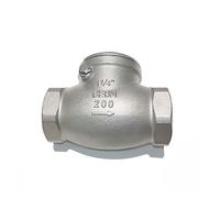 PAJPXPCD DN65 2-1/2" BSPT 304 Stainless Steel One Way No-Return Check Swing Horizontal Valve Hard Seal