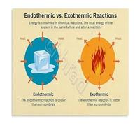 PAJPXPCD Endothermic vs Exothermic Reactions Science Diagram Educational Metal Tin Sign for Chemistry Classroom Home School Study Wall-Art 8 X 12 in