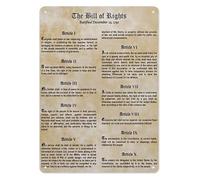 PAJPXPCD Patriotic History Metal Sign Founding Documents Educational Wall-Art for Classroom Study Office Home Library Decor 8 X 12 inch