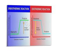 PAJPXPCD Science Classroom Decor Endothermic vs Exothermic Reactions Diagram Metal Sign for Chemistry Teachers Students Educational Wall-Art 8 X 12 in