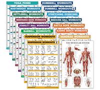 Palace Learning 16 Pack - Exercise Poster Set: Dumbbell, Suspension, Kettlebell, Resistance Bands, Medicine Ball, Battle Rope, Stretching, Bodyweight, Barbell, Yoga, Exercise Ball, Muscular
