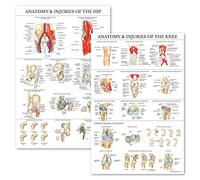 Palace Learning 2 Pack - Anatomy and Injuries of The Knee & Hip Poster Set - Anatomical Chart Set - Laminated 18" x 24"