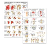 Palace Learning 2 Pack - Anatomy and Injuries of The Knee & Shoulder Poster Set - Anatomical Chart Set - Laminated 18" x 24"