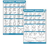 Palace Learning 2 Pack Bodyweight Workout Exercise Poster - Volume 1 & 2 (Laminated, 18" x 24") (Laminated, 18" x 24")
