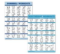 Palace Learning 2 Pack Dumbbell Workouts and Bodyweight Exercise Poster Set - Laminated 2 Chart Set - Dumbbell Exercise Routine & Body Weight Workouts [LIGHT] (LAMINATED, 18” x 24”)