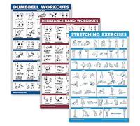 Palace Learning 3 Pack: Dumbbell Exercise Poster + Resistance Bands Workouts + Stretching Exercises - Set of 3 Workout Charts (LAMINATED, 18" x 24")