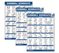 Palace Learning 3 Pack - Dumbbell Workout Posters for Home Gym - Volume 1, 2 & 3 - Exercise Charts (Laminated, 18" x 24")