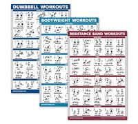Palace Learning 3 Pack - Dumbbell Workouts + Bodyweight Exercises + Resistance Bands Poster Set - Set of 3 Workout Charts (LAMINATED, 18" x 24”)