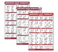Palace Learning 3 Pack: Resistance Bands Workouts Volume 1 & 2 + Resistance Loops Exercises Poster Set - Set of 3 Workout Charts (Laminated, 18" x 24")