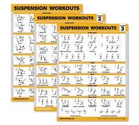 Palace Learning 3 Pack Suspension Workout Posters - Volume 1, 2 & 3 - Exercise Charts (Laminated, 18" x 24")
