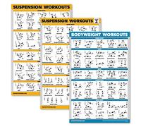 Palace Learning 3 Pack - Suspension Workout Posters - Volume 1 & 2 + Bodyweight Exercises Poster Set - Set of 3 Workout Charts (LAMINATED, 18" x 24")