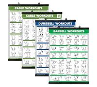 Palace Learning 4 Pack - Cable Machine Workout Posters Volume 1 & 2 + Dumbbell Exercises + Barbell Exercises (LAMINATED WITH PLASTIC FRAME 18" x 24")