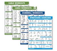Palace Learning 4 Pack - Cable Machine Workout Posters Volume 1 & 2 + Dumbbell Exercises + Stretching Exercises (LAMINATED, 18" x 24")
