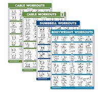 Palace Learning 4 Pack - Cable Machine Workout Posters Volume 1 & Volume 2 + Dumbbell Exercises + Bodyweight Exercises (LAMINATED, 18" x 24")