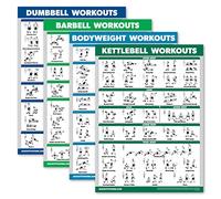 Palace Learning 4 Pack - Dumbbell + Barbell + Bodyweight + Kettlebell Workouts - Set of 4 Laminated Charts (18” x 24”)