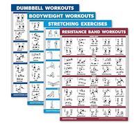Palace Learning 4 Pack - Dumbbell, Bodyweight, Stretching, and Resistance Band Exercises - Set of 4 Charts (18" x 24", Laminated)